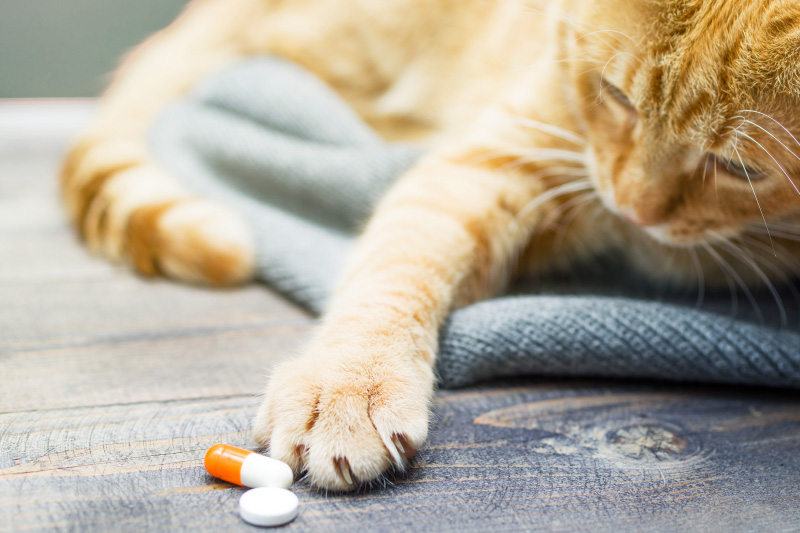 Farmaci e alimenti dietetici