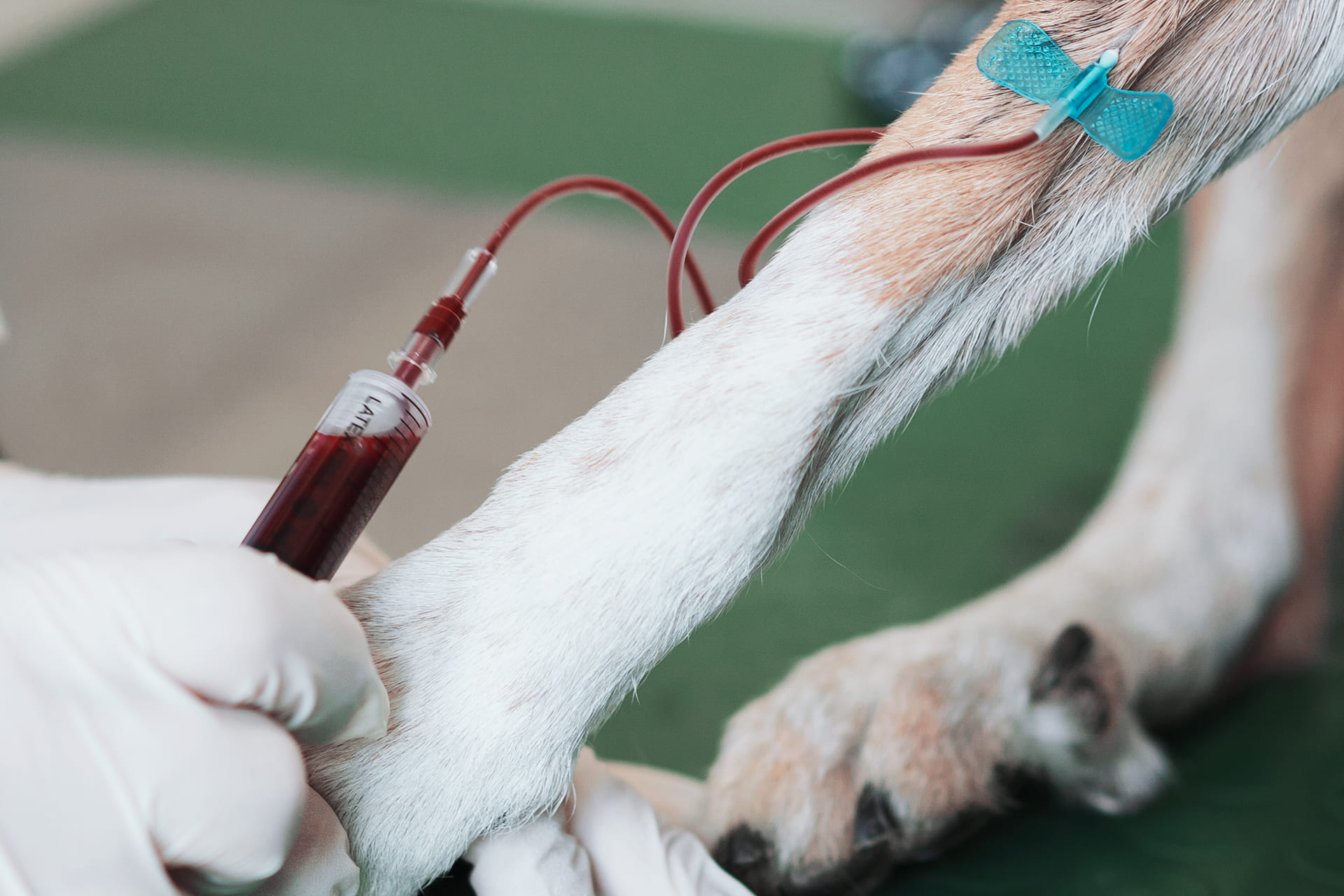 Esami di laboratorio